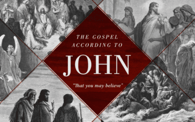 A Higher Love (John 21:15-19)