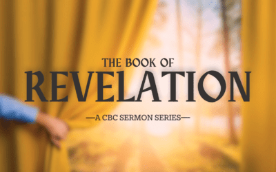 Post Tenebras Lux (Revelation 7:9-17)